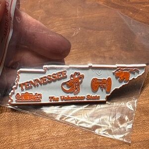 Tennessee State Souvenir Magnet